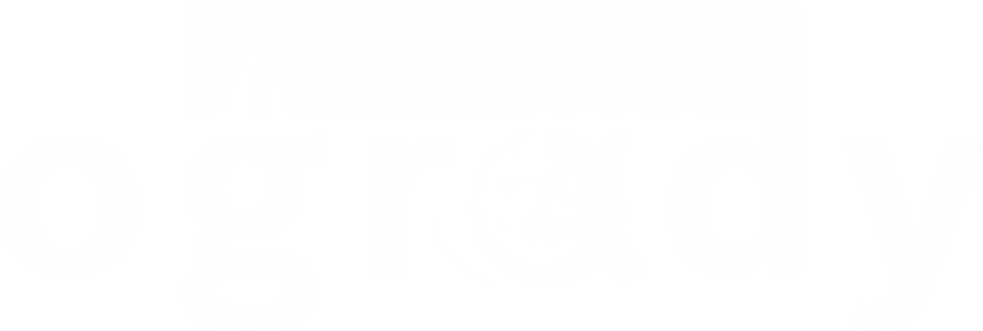 Logo Kameleon